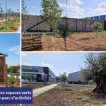 Développer les espaces verts provençaux d’un parc d’activités 🌿
